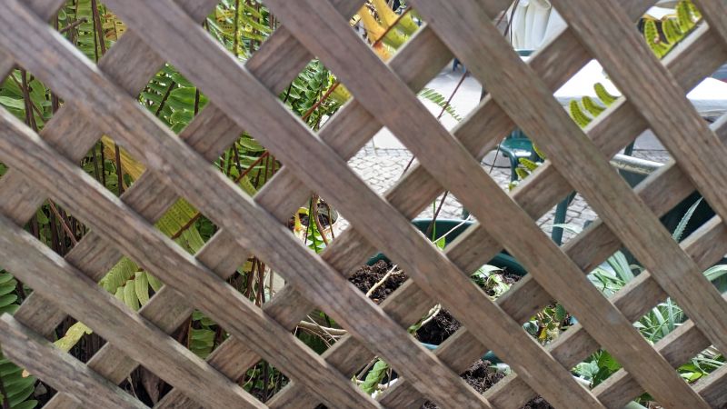 Trellis Fence Construction in Kansas City, KS